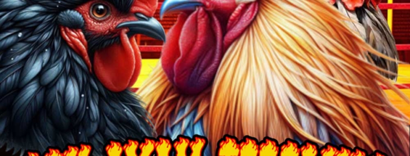sabung-ayam-mpo