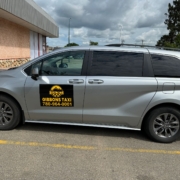 gibbons taxi, gibbons taxi service