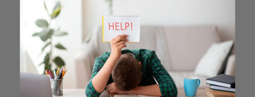 Ask for Help with Assignments